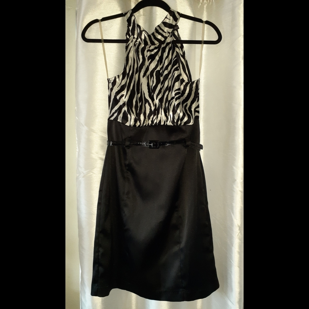 Zebra Print Dress
